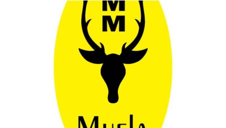 Muela